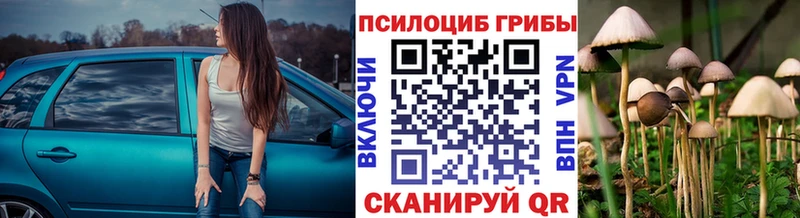 сколько стоит  Волжский  KRAKEN зеркало  Псилоцибиновые грибы MAGIC MUSHROOMS 
